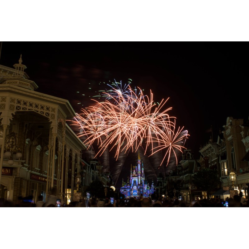 Enchantment 2 - Magic Kingdom - Tableau Alu