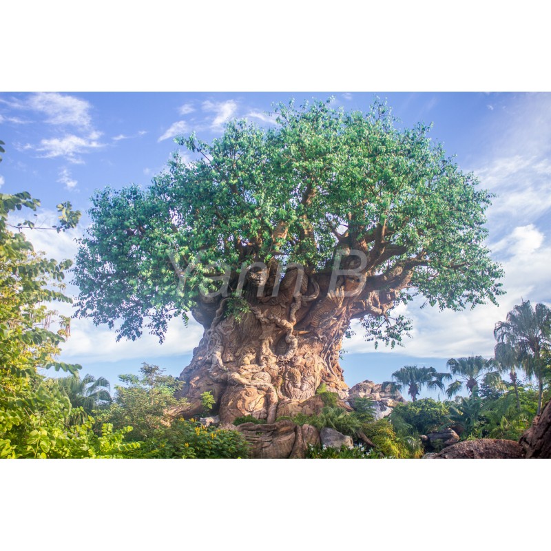 Tree Of Life - Animal Kingdom - Tableau Plexi