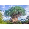 Tree Of Life - Animal Kingdom - Tableau Plexi