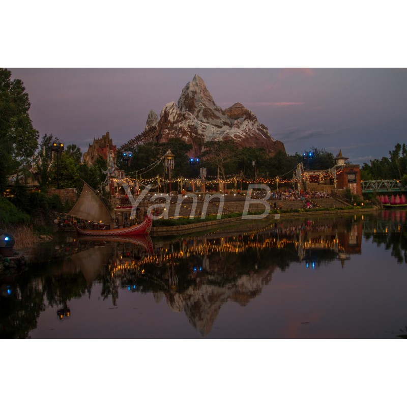 Expedition Everest - Animal Kingdom - Tableau Alu