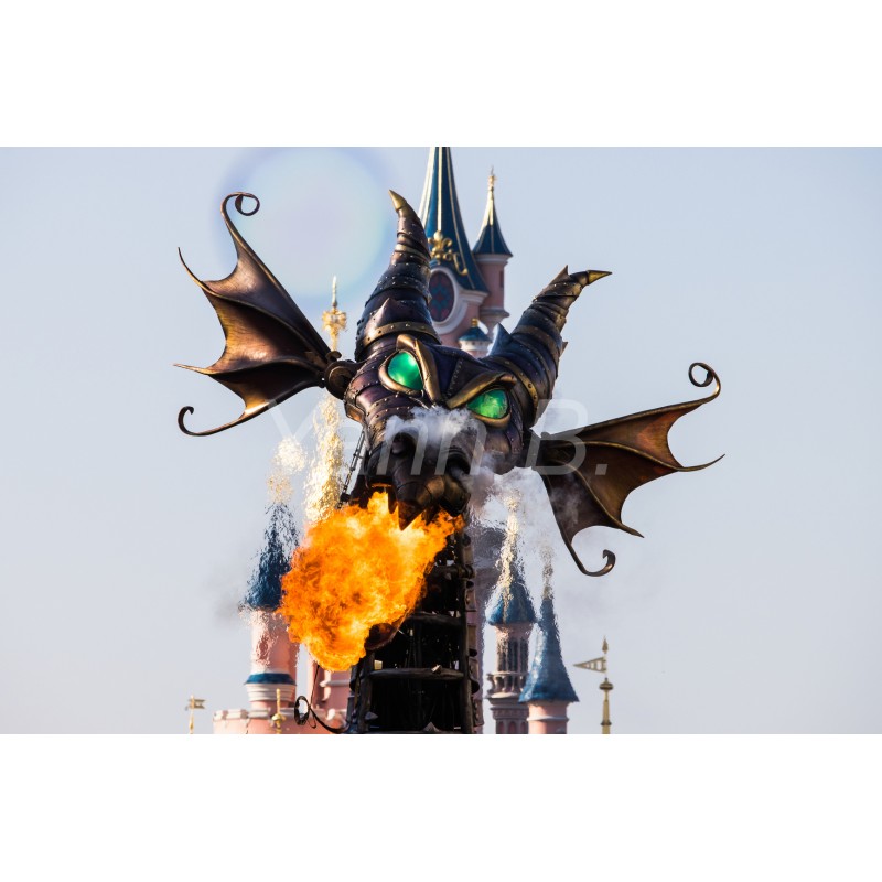 Dragon - Disneyland Paris - Tableau Alu