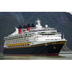 Disney Wonder - Tableau Alu