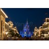 Magic Kingdom by night - Tableau Alu