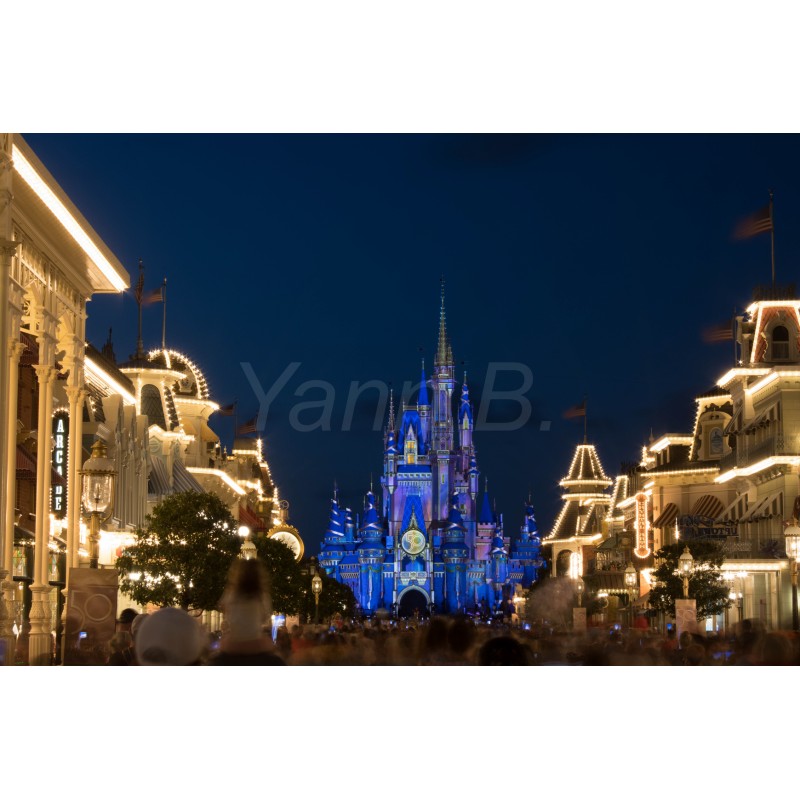 Magic Kingdom by night - Tableau Plexi