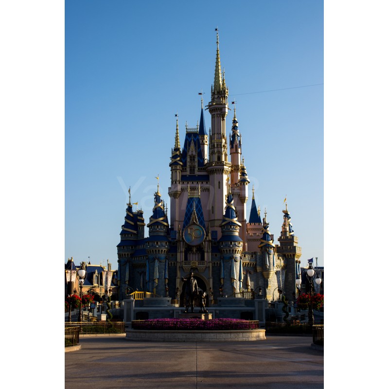 Cinderella Castle (portrait) - Tableau Plexi